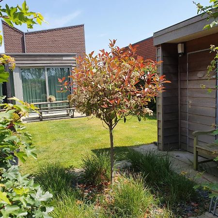 Bonnies Beach & Spa Duinnest Cadzand Buitenkant foto
