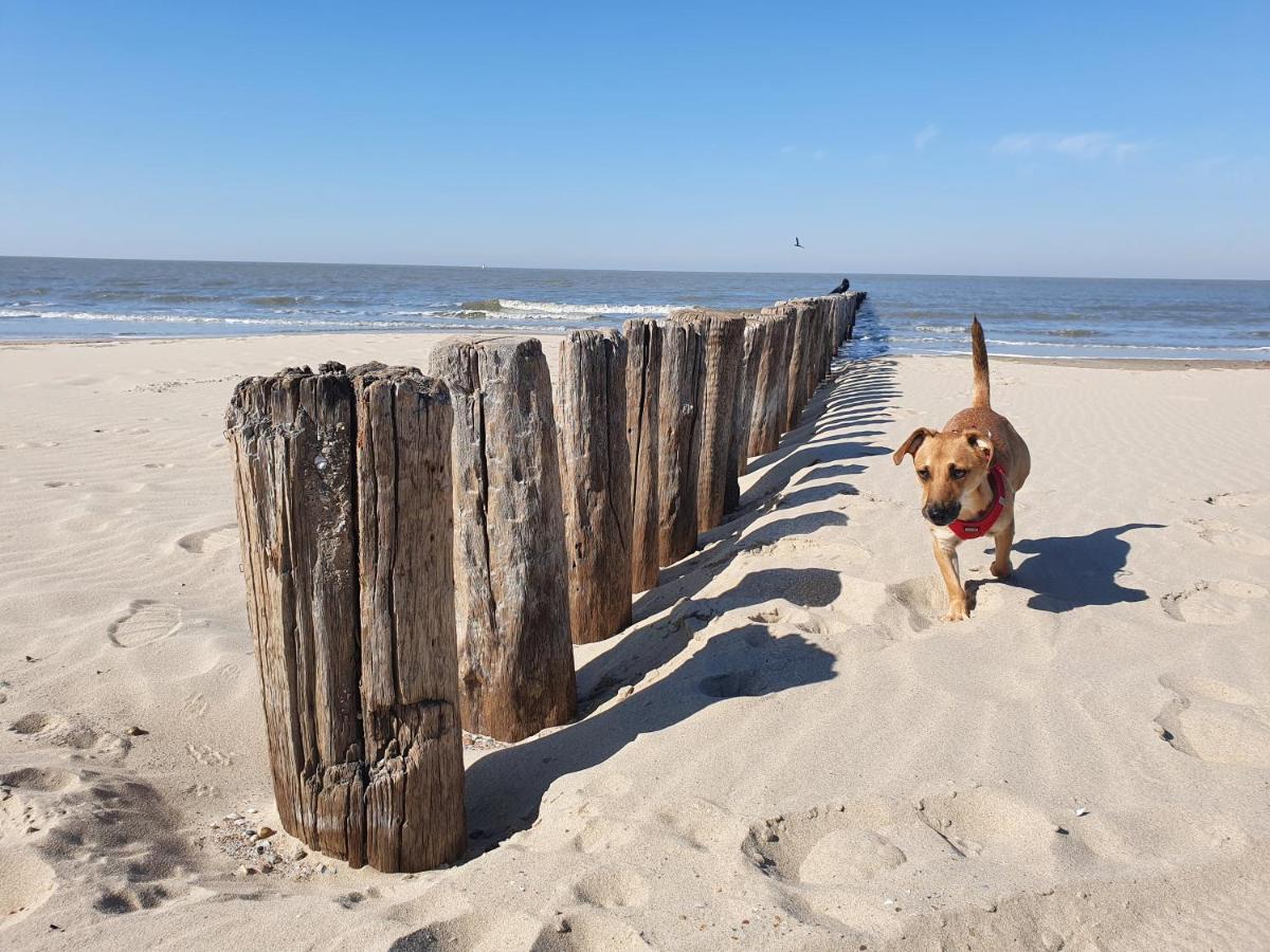 Bonnies Beach & Spa Duinnest Cadzand Buitenkant foto